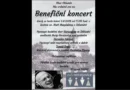 Benefiční koncert 5.6.2026 od 17:00 hod. v kostele sv. Maří Magdalény v Chlumíně