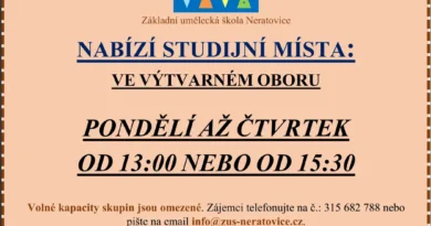 STUDIJNÍ MÍSTA VE VÝTVARNÉM OBORU STUDIJNÍ MÍSTA VE VÝTVARNÉM OBORU
